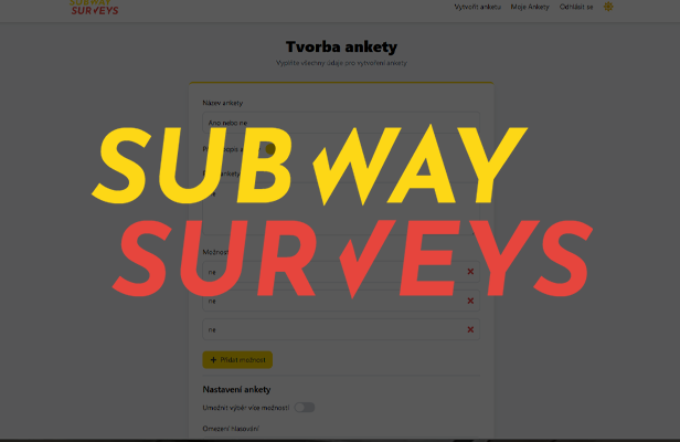 Projekt Subway Surveys